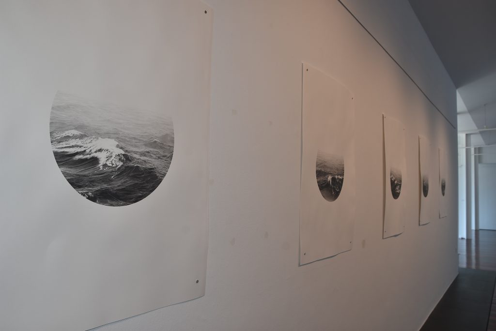 DSC_1200-Lucis ET aqua
