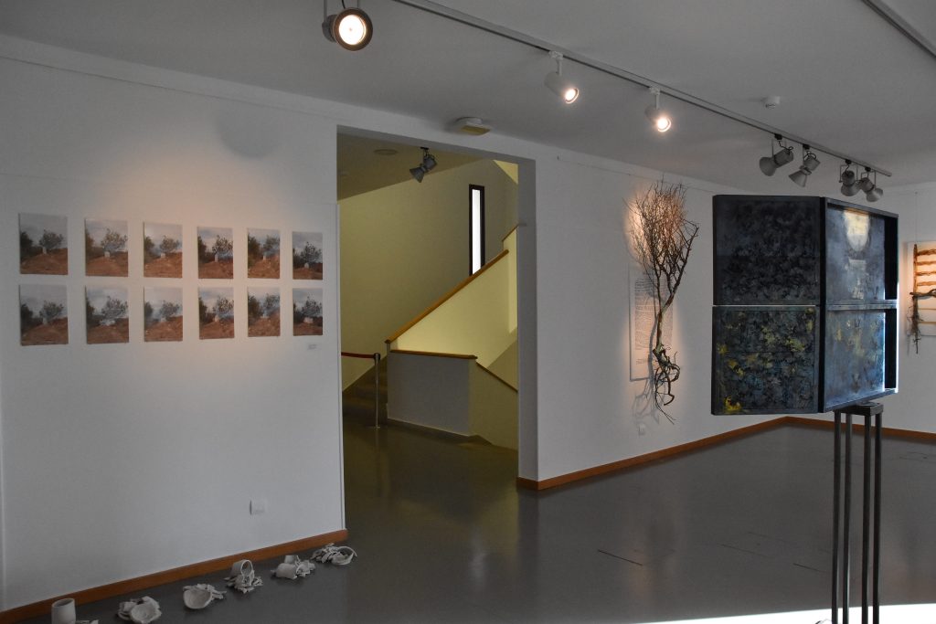 proyectos altea-Proyectos artísticos híbridos