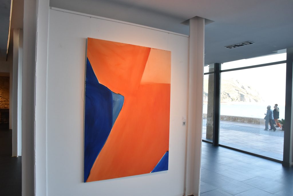 DSC_1521-Ver sin ver