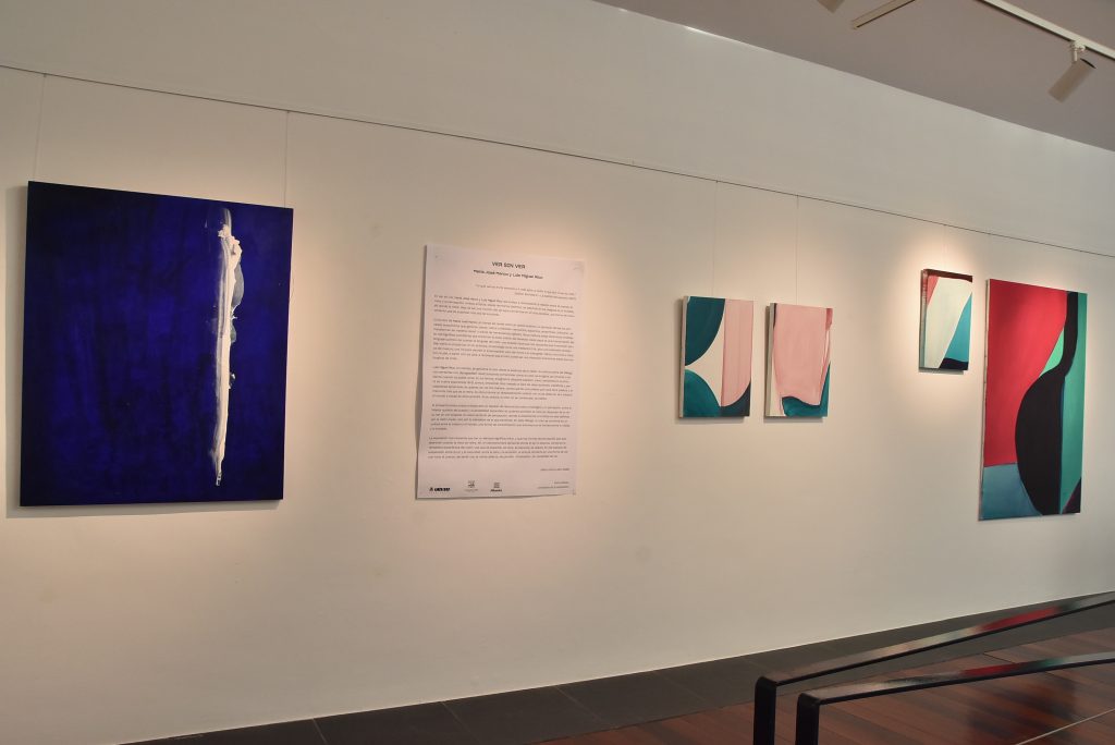 DSC_1525-Ver sin ver