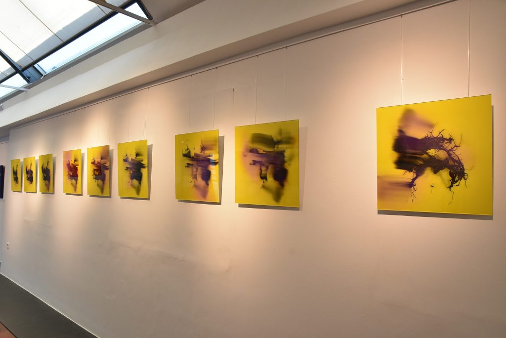 DSC_1526-Ver sin ver