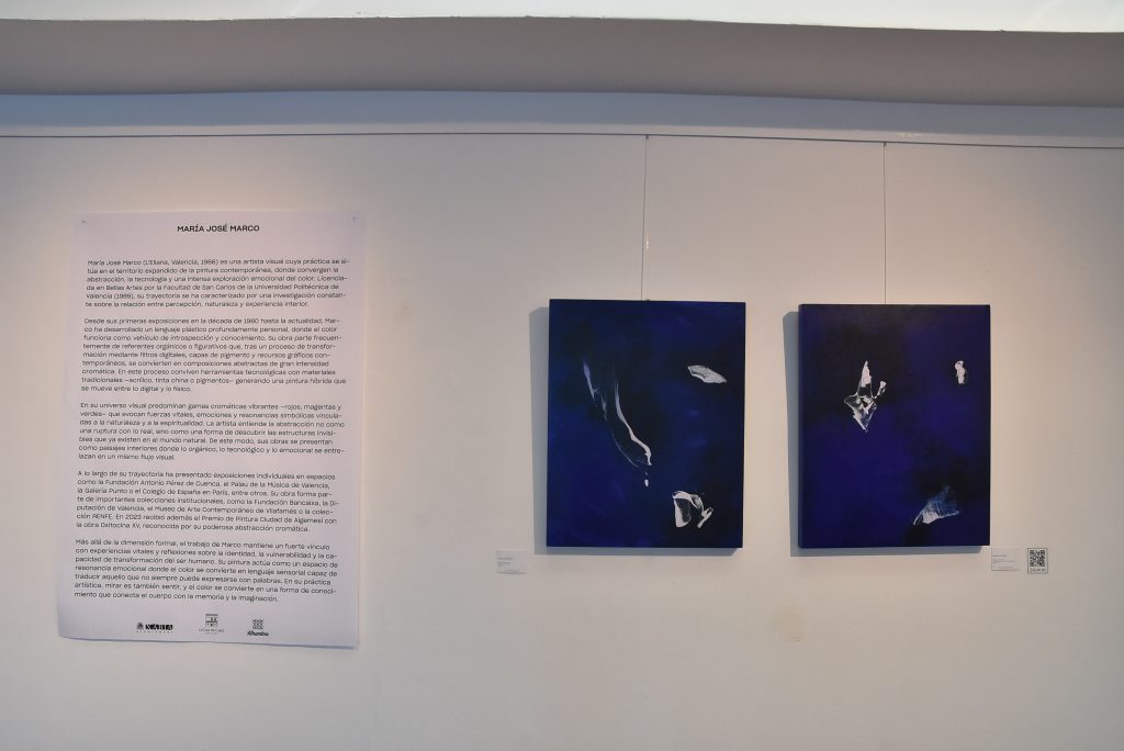 DSC_1528-Ver sin ver