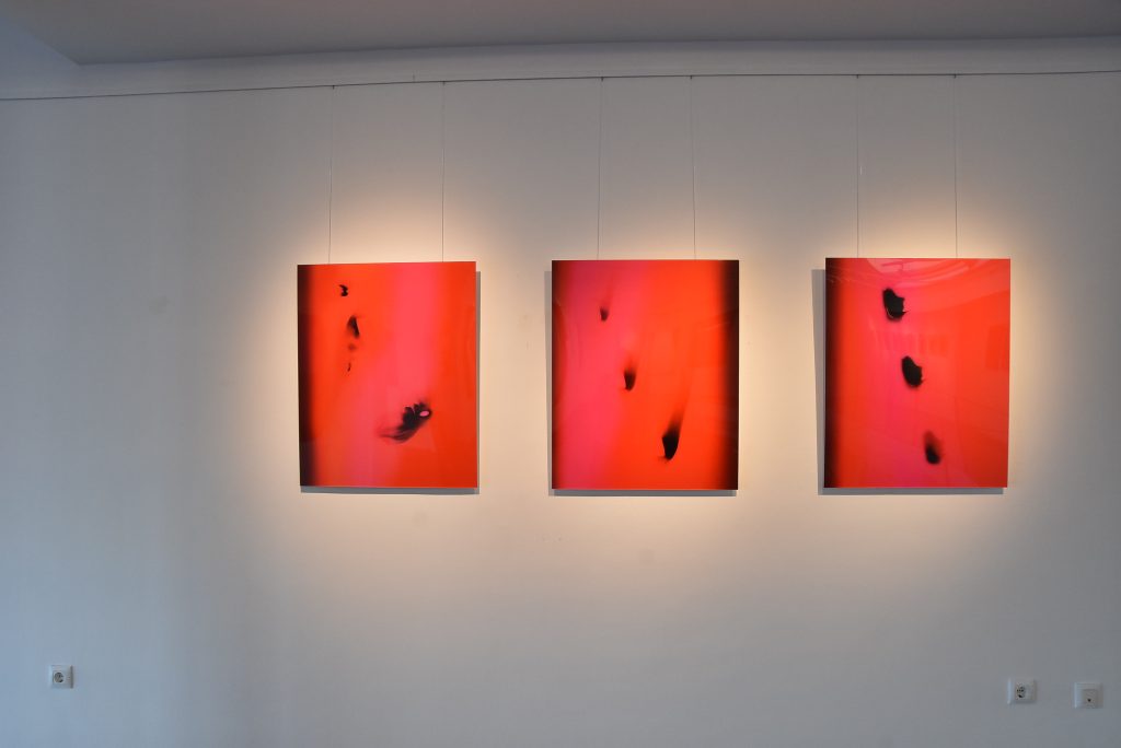 DSC_1530-Ver sin ver