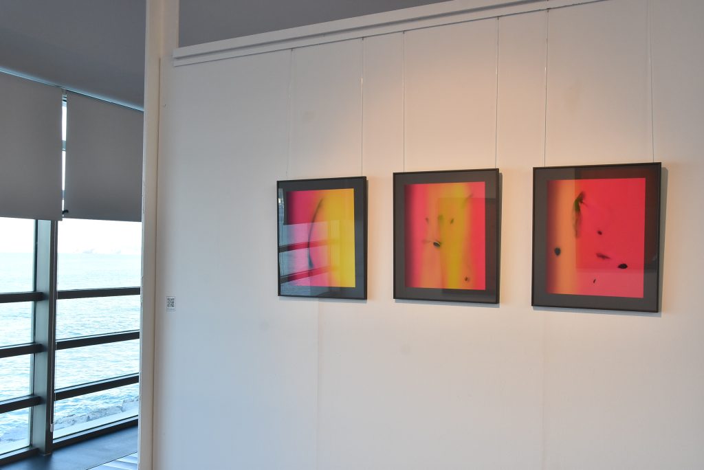 DSC_1533-Ver sin ver