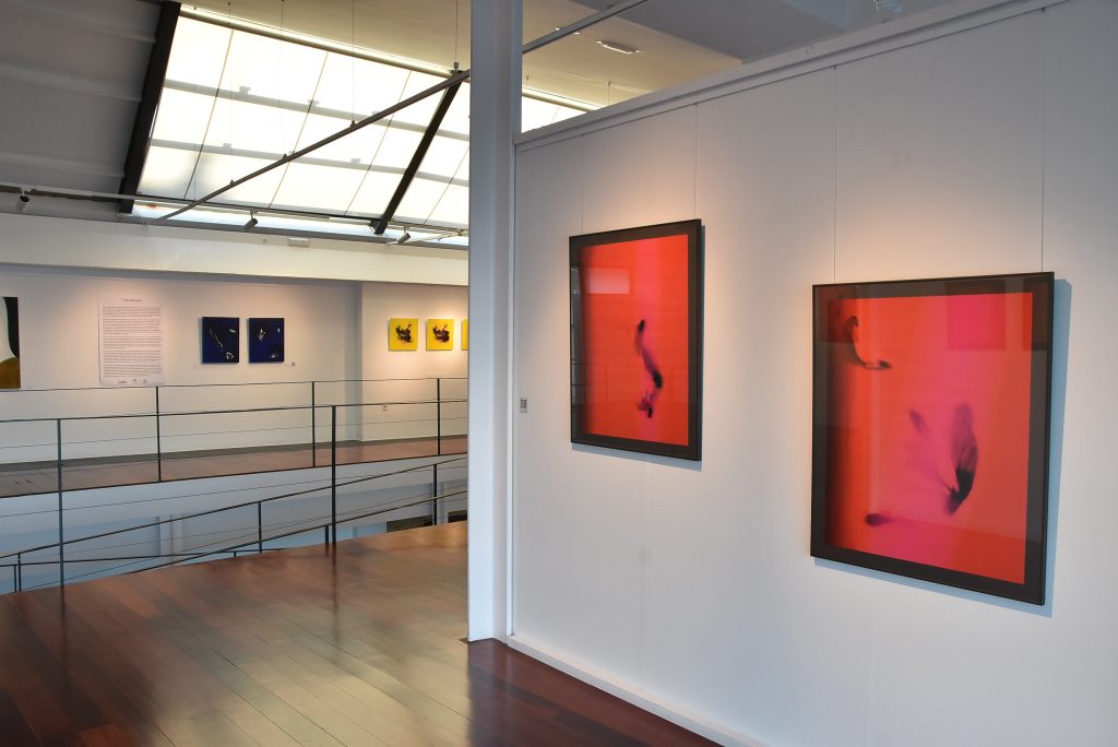 DSC_1534-Ver sin ver